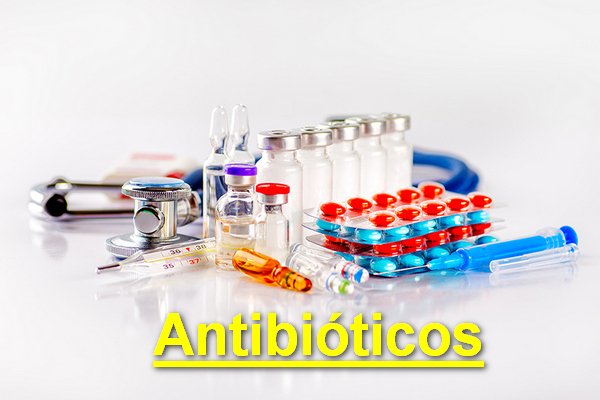 Image with missing alt attribute found on farmacianerea.com