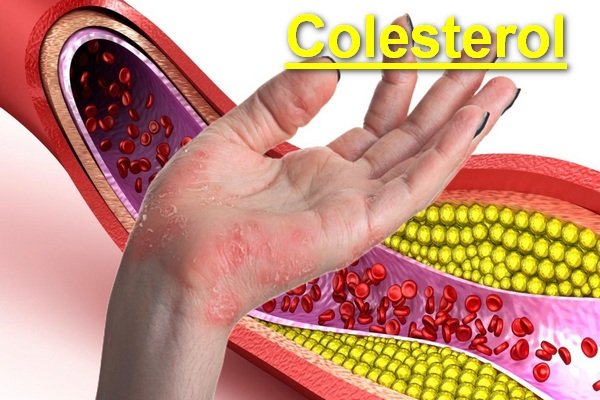 Image with missing alt attribute found on farmacianerea.com