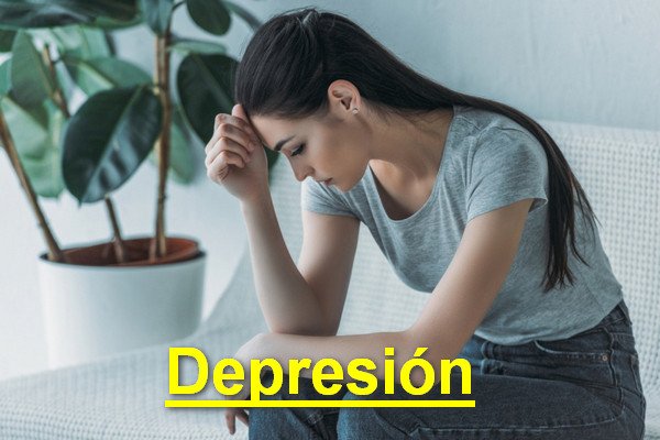 Image with missing alt attribute found on farmacianerea.com