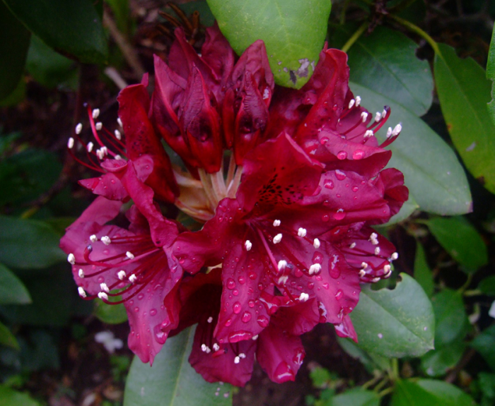 Image with missing alt attribute found on fermer.blog