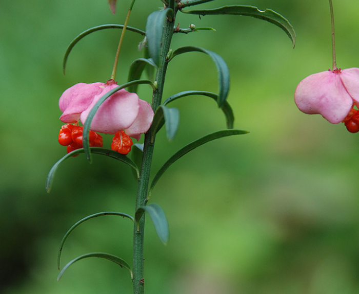 Image with missing alt attribute found on fermer.blog