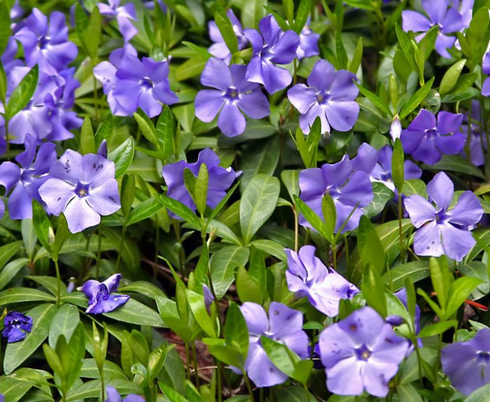 Image with missing alt attribute found on fermer.blog