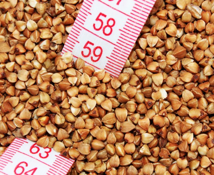 Image with missing alt attribute found on fermer.blog