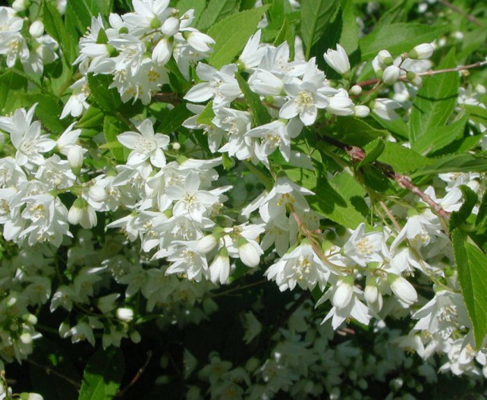 Image with missing alt attribute found on fermer.blog