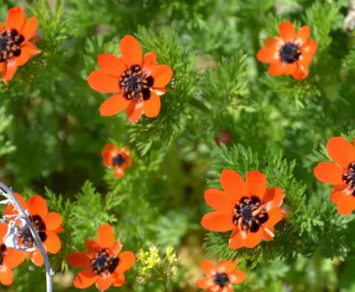 Image with missing alt attribute found on fermer.blog