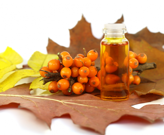 Image with missing alt attribute found on fermer.blog