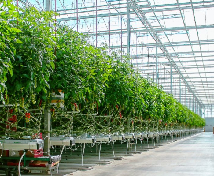 Image with missing alt attribute found on fermer.blog