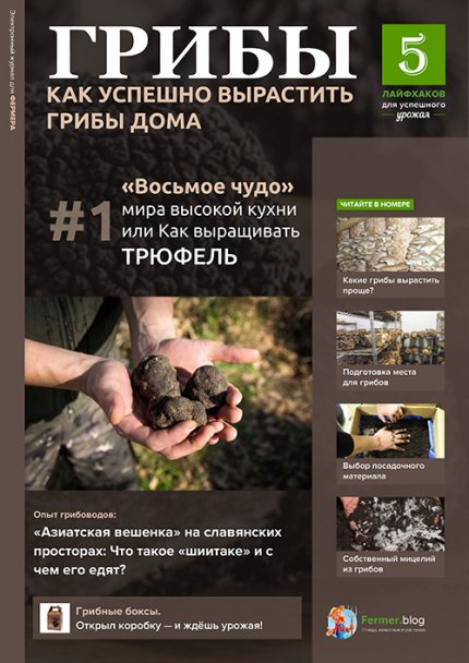 Image with missing alt attribute found on fermer.blog