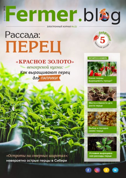 Image with missing alt attribute found on fermer.blog