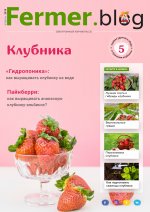 Image with missing alt attribute found on fermer.blog