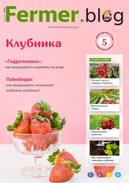 Image with missing alt attribute found on fermer.blog