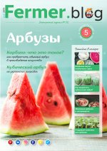 Image with missing alt attribute found on fermer.blog