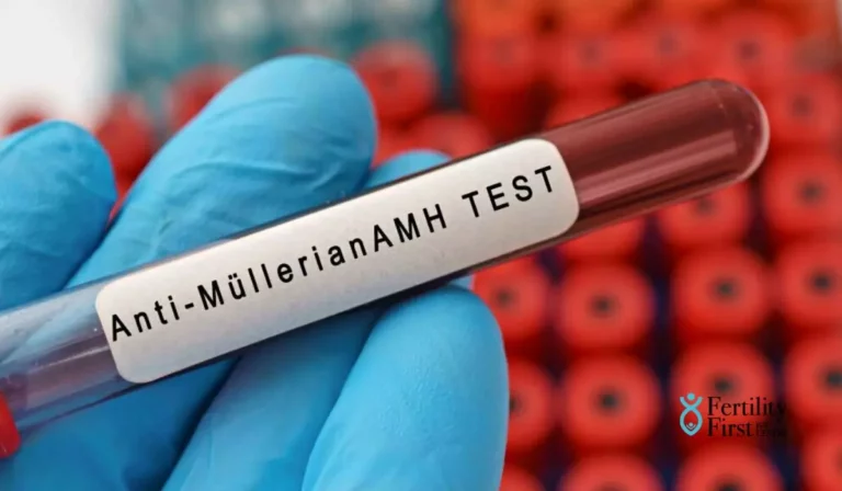 How To Increase AMH Levels