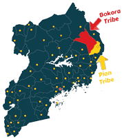 Image with missing alt attribute found on oaclub.org