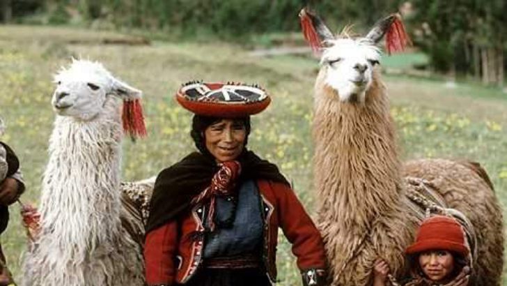 Image with missing alt attribute found on grizly.com