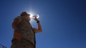 Image with missing alt attribute found on grizly.com