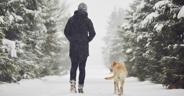 Image with missing alt attribute found on mabra.com