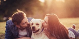 Image with missing alt attribute found on filterfreeparents.com