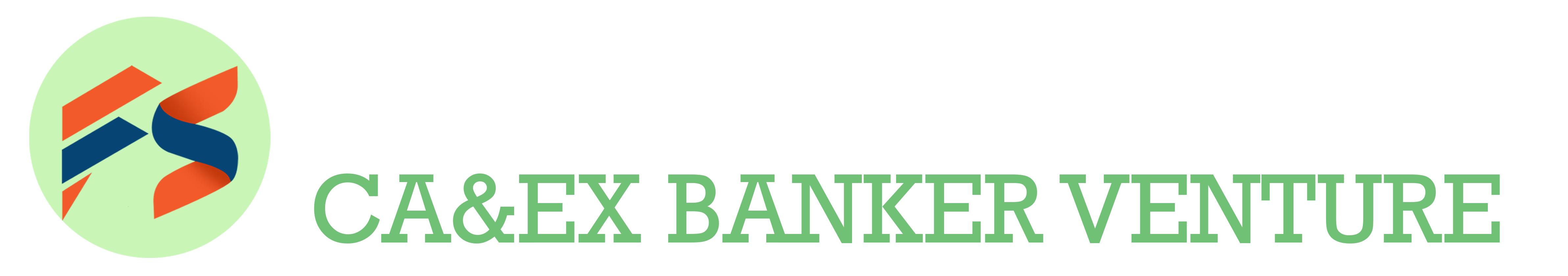 Image with missing alt attribute found on financeseva.com