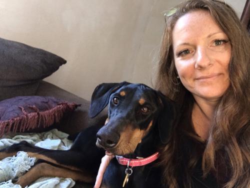 Image with missing alt attribute found on pawboost.com