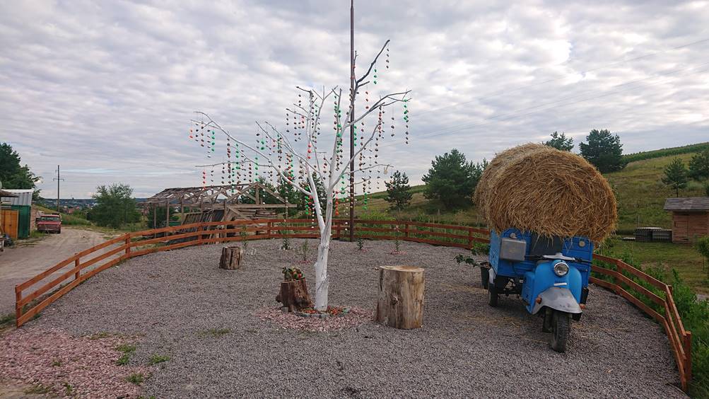 Image with missing alt attribute found on finprom.net