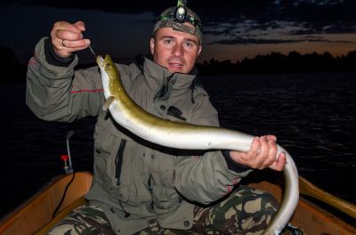 Eel fishing in freshwater