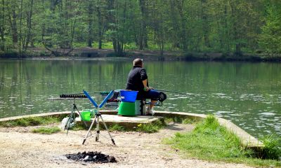 The bolognese fishing