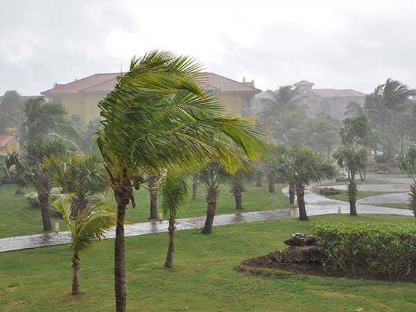 Image with missing alt attribute found on flapublicadjusting.com