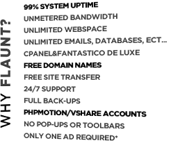 Image with missing alt attribute found on flaunt.nu