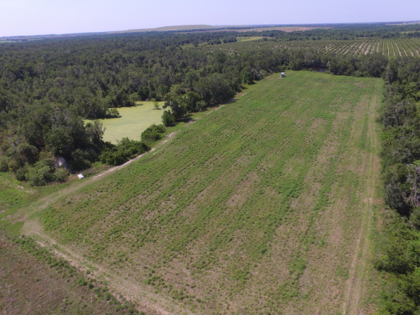 Image with missing alt attribute found on floridalandoffice.com