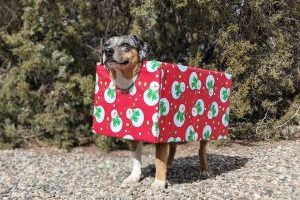 Image with missing alt attribute found on fmca.com