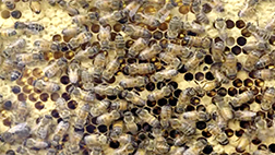 Image with missing alt attribute found on films.com