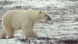 Image with missing alt attribute found on films.com