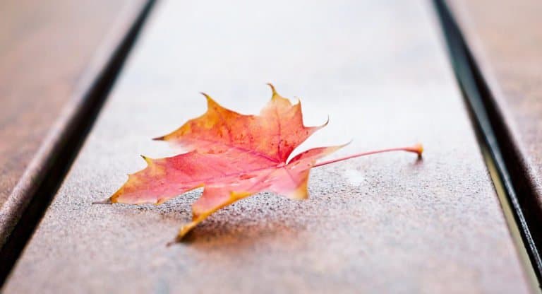 Image with missing alt attribute found on foma.ru