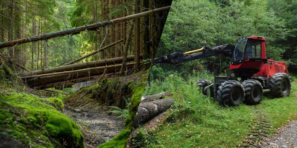 arbetsbelysning skogsmaskin