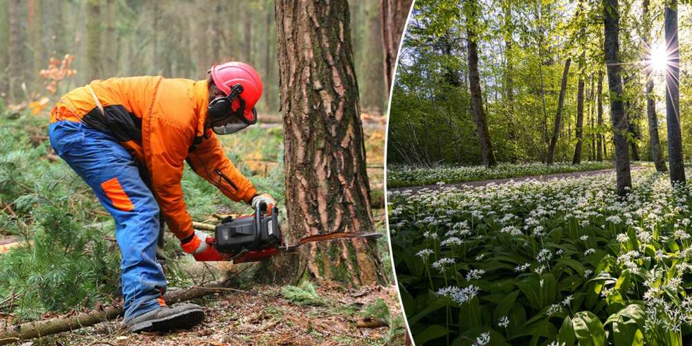miljöbalken (1998:808)