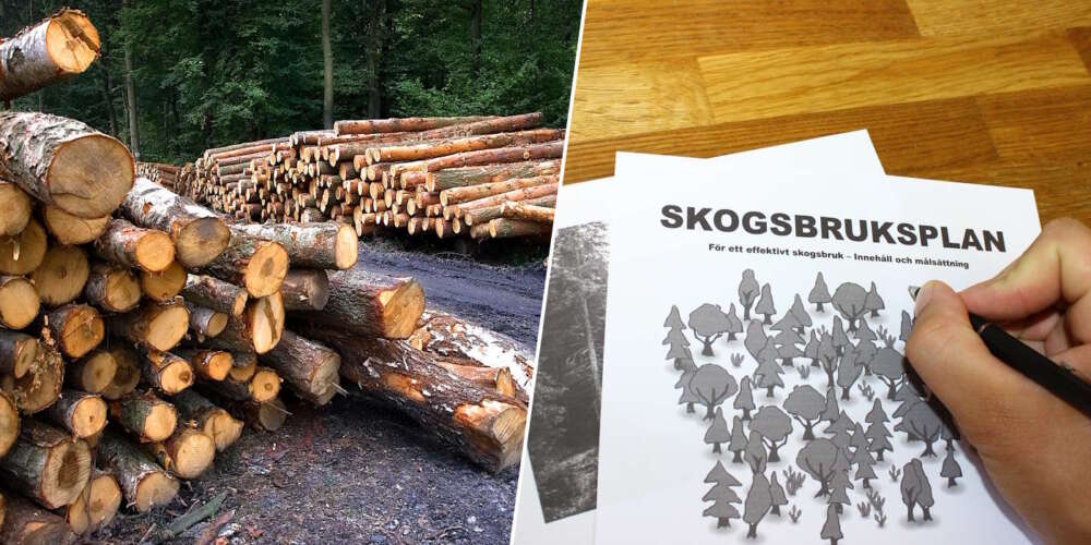 vad &auml;r en skogsbruksplan