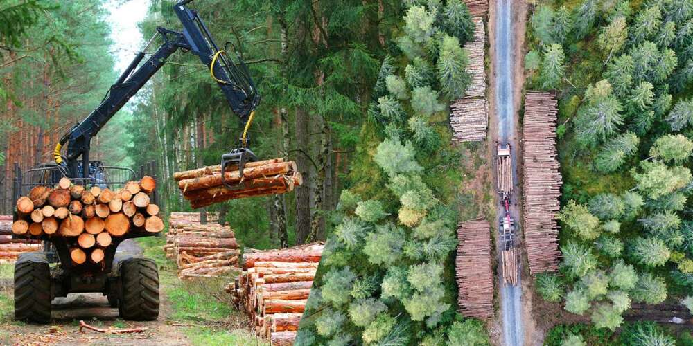 vibrationsd&auml;mpare gummi