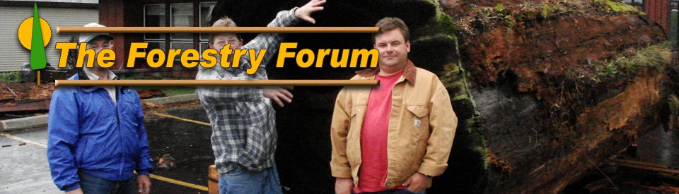 or become a redwood Zombie...