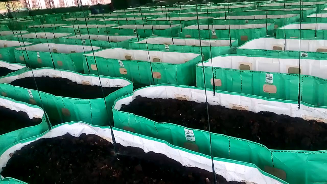 Image with missing alt attribute found on aerotechgreenhouse.com