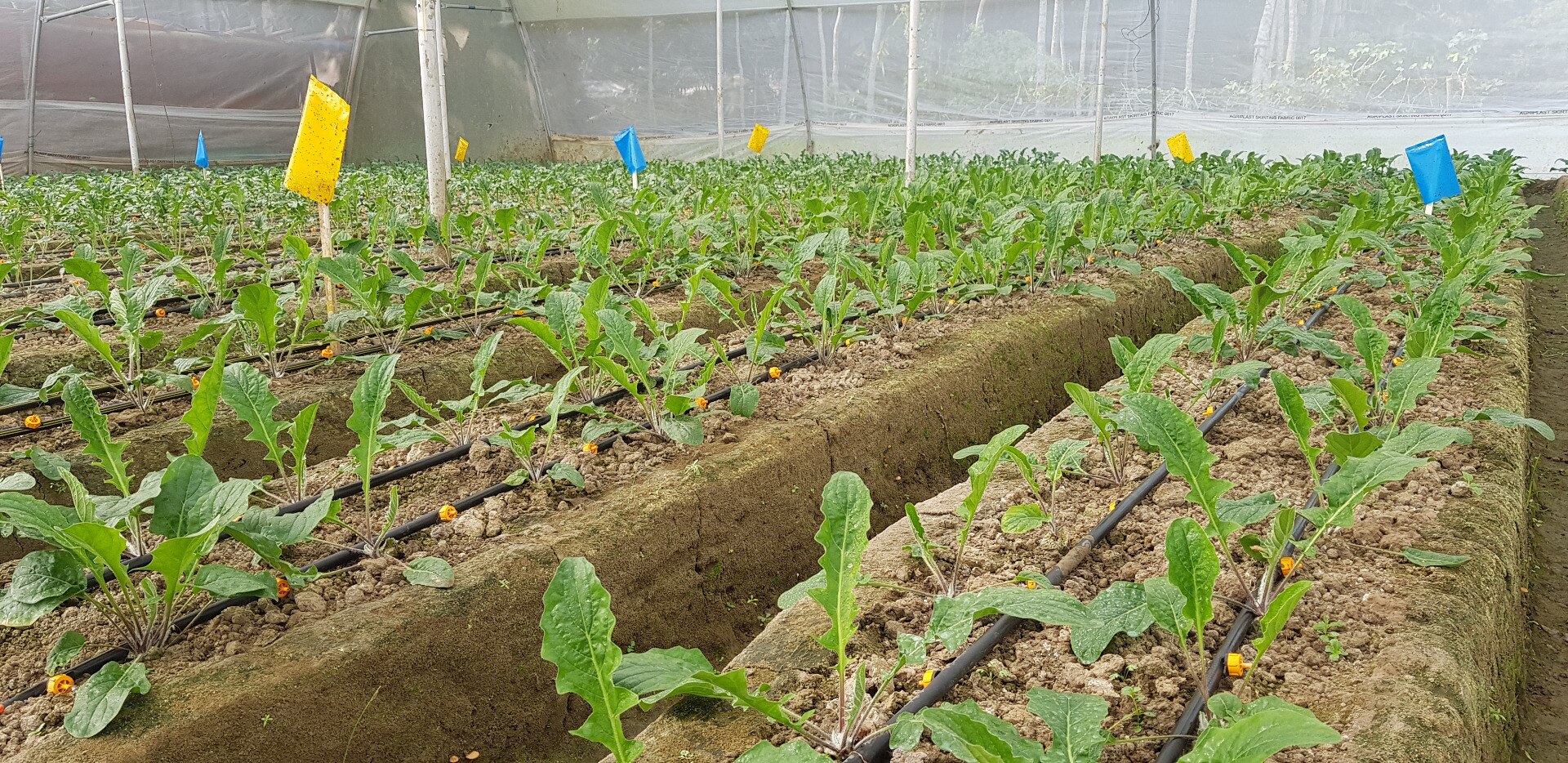 Image with missing alt attribute found on aerotechgreenhouse.com