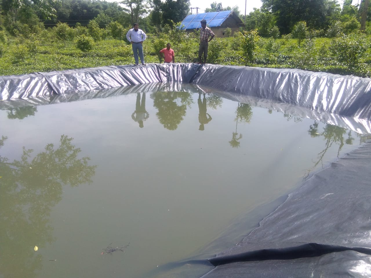 Image with missing alt attribute found on aerotechgreenhouse.com