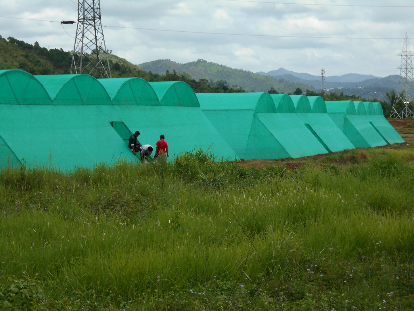 Image with missing alt attribute found on aerotechgreenhouse.com