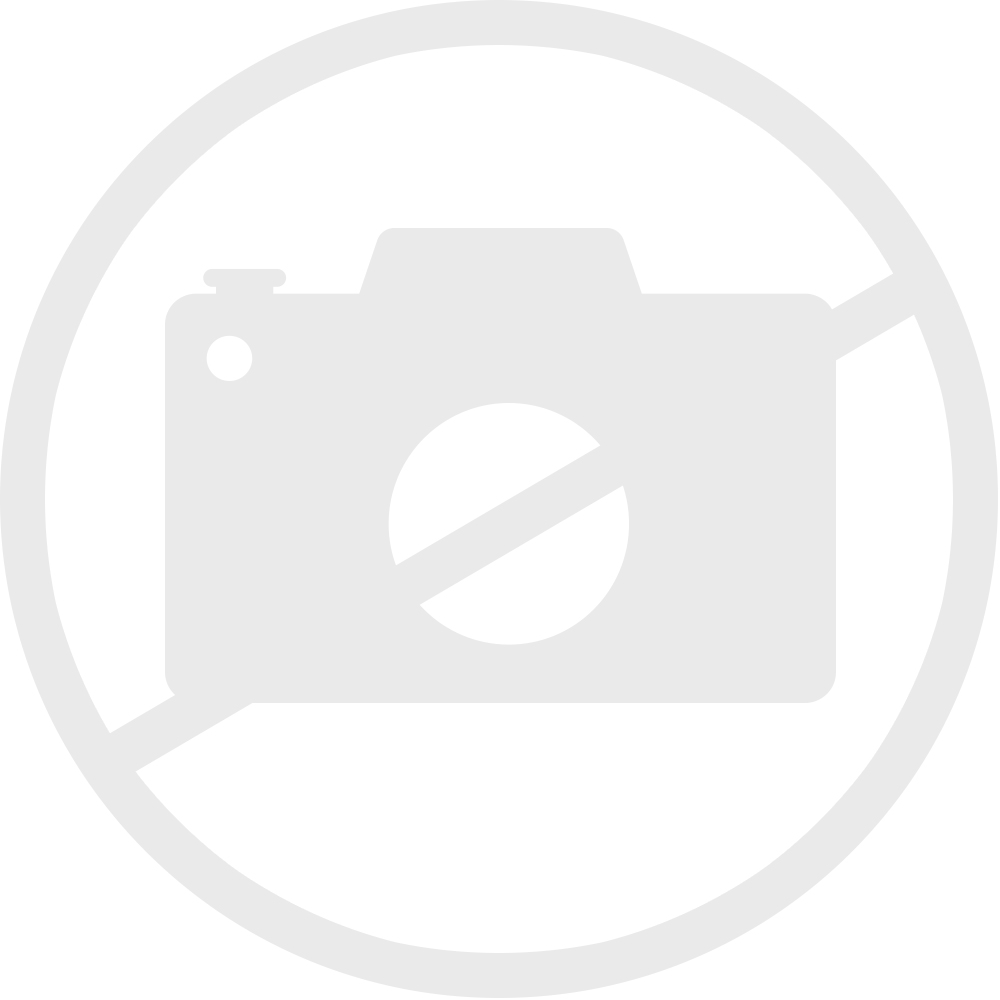 Image with missing alt attribute found on fritz-berger.de