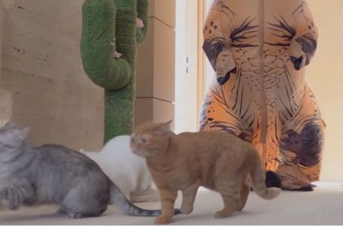 Image with missing alt attribute found on from-ua.com