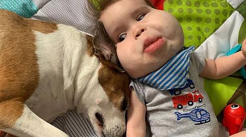 Gavina chrání rodina i domácí mazlíčci.