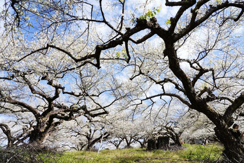 Image with missing alt attribute found on udn.com