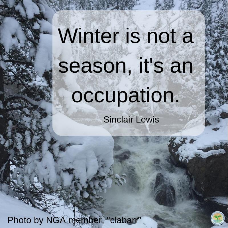 Image with missing alt attribute found on garden.org