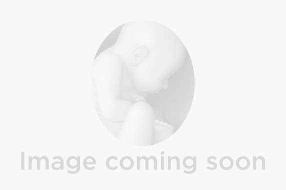 Image with missing alt attribute found on gaumard.com