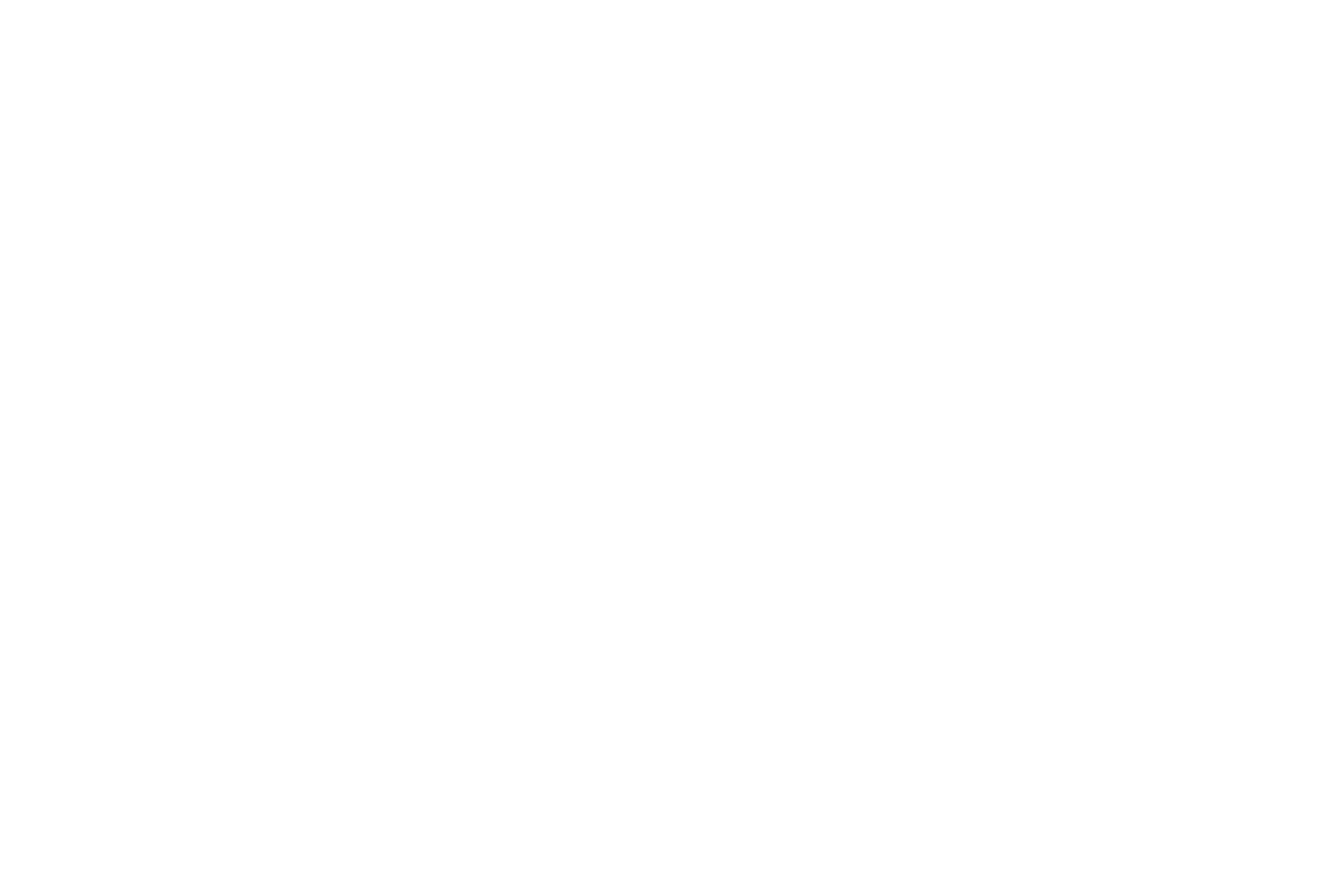 GDash